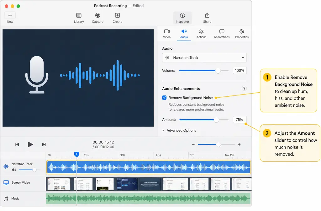ScreenFlow audio properties with Remove Background Noise and Amount slider highlighted